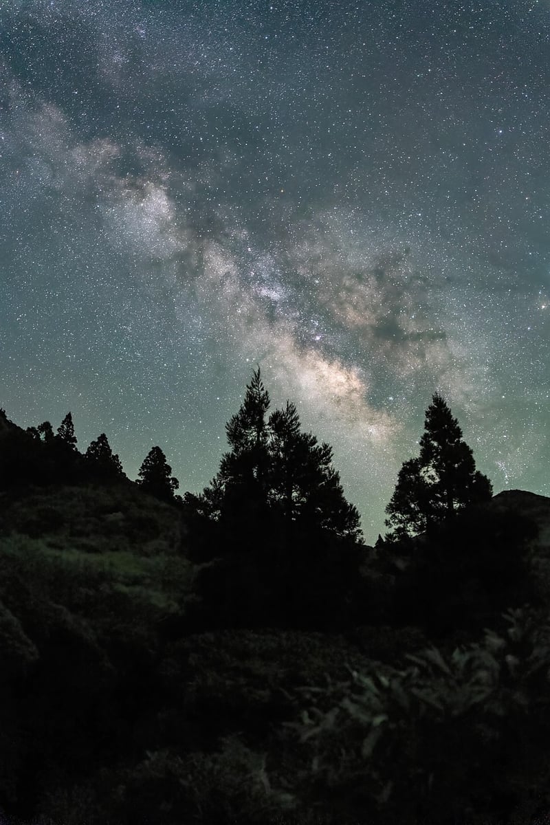 Romantic couple under the stars